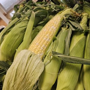 Ontario Corn